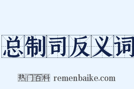 总制司反义词是什么意思的图片